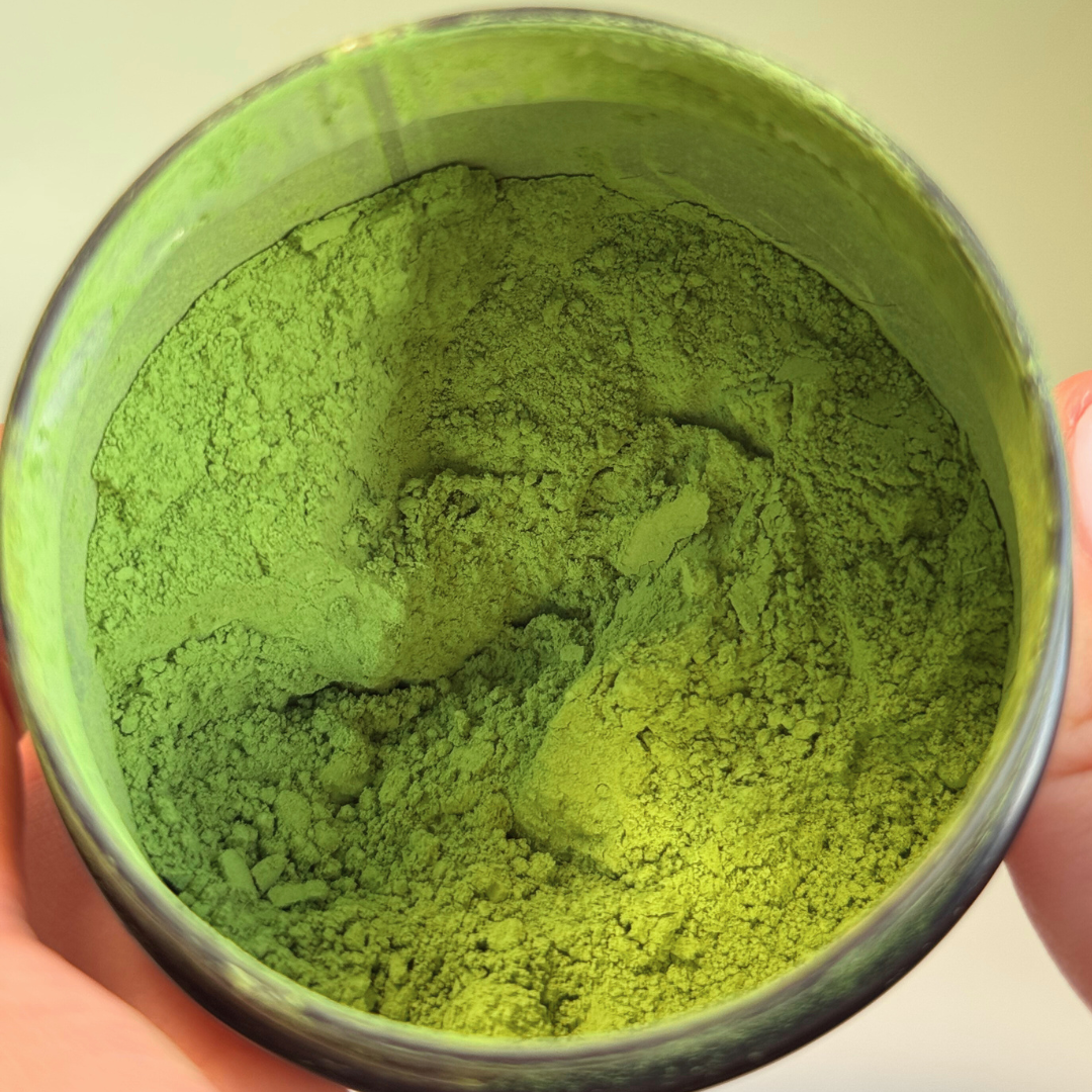 Golden Ceremonial Matcha
