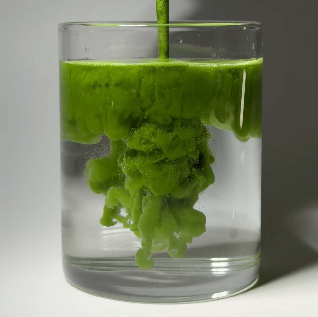 KOICHA - Golden Ceremonial Matcha